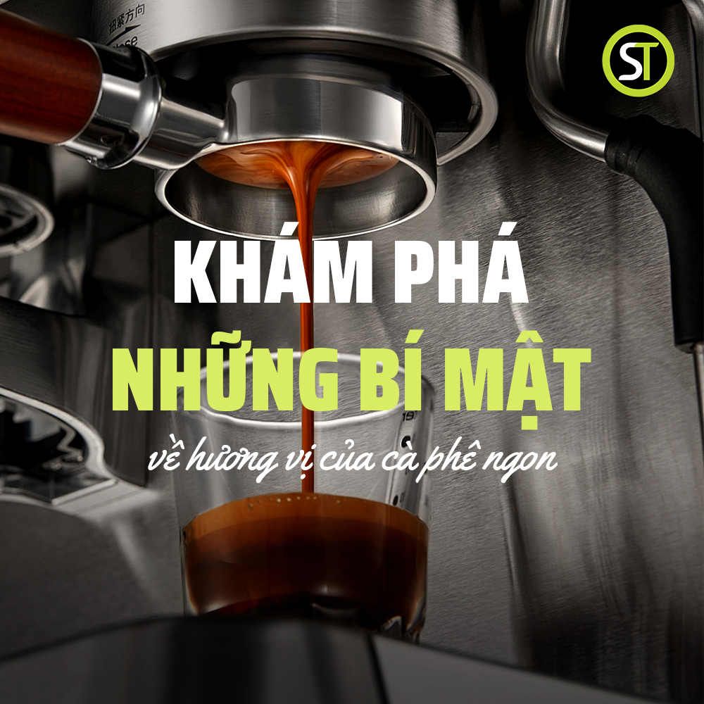 Tổng quan về hương vị của cà phê - Khám phá 5 hương vị của cà phê