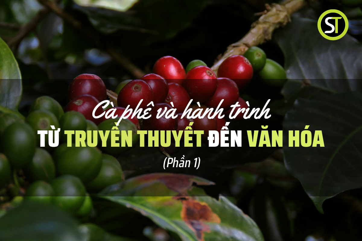 Cà phê và hành trình từ truyền thuyết đến văn hóa (Phần 1)
